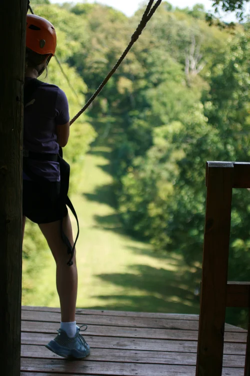 [ブーツ]ZIPLINE STEP ON 22.0 ブーツ]ZIPLINE STEP ON 22.0 Amazon.com : Burton Step On